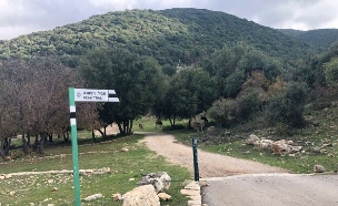 שמורת הר מירון  (צילום: מירב טלמור-קשי)