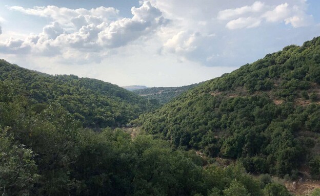 טיול שמורת הר מירון 