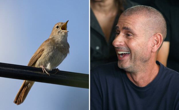 אייל קיציס, ציפור (צילום: משה שי, פלאש 90, לפי סעיף 27 א' לזכויות יוצרים)