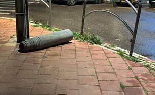 שטיח פרסי שנראה כמו טיל (צילום: שימוש לפי סעיף 27א' לחוק זכויות יוצרים)