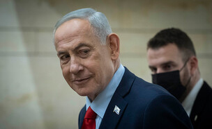 בנימין נתניהו (צילום: Photo by Chaim GoldbergFlash90)