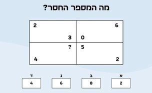 חידת המלבן המתמטי (איור: הפרופסור הלא המפוזר)