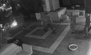 כנופיית הסוחטים בבניין בצפון תל אביב (צילום: ללא)