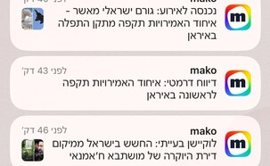 פושים אפליקציית mako (צילום: mako)