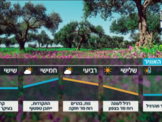 20mezeg_vtr2_n20260308_v1 (צילום: חדשות)