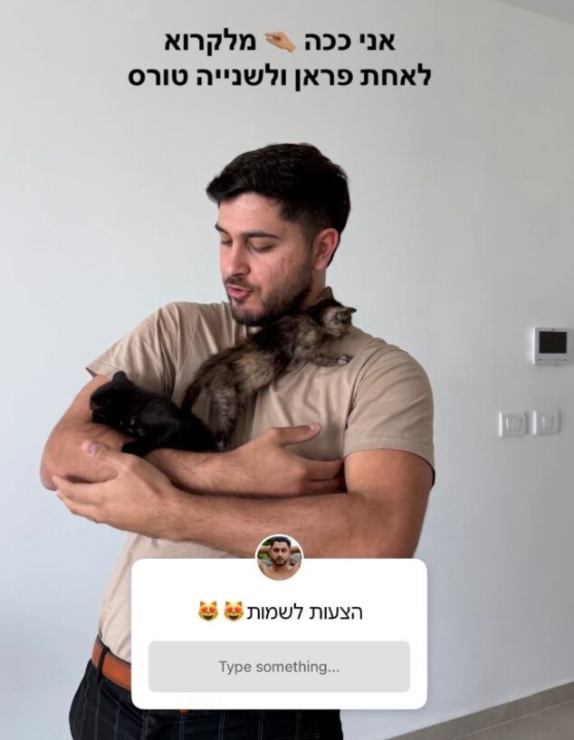 אורן אטדגי עם החתולים