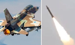 טח (צילום: רשתות חברתיות לפי סעיף 27 א', דובר צה"ל)