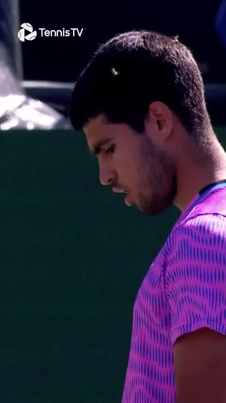 משחק הטניס הושעה מסיבה חריגה: נחיל דבורים התמקם במגרש