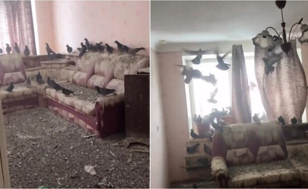 השאיר את החלון פתוח במשך שלוש שנים - וזה מה שקרה השאיר את החלון פתוח במשך שלוש שנים - וזה מה שקרה