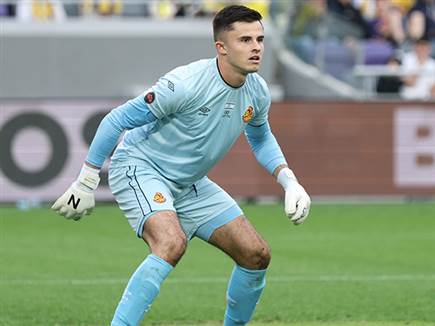 נימצ`יסקי. ישפיע על אשדוד (אלן שיבר) (צילום: ספורט 5)