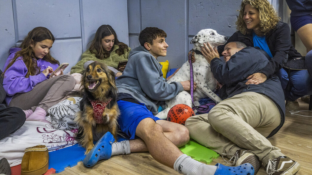 אזרחים מתמגנים בזמן אזעקות 