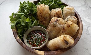 נאמס צמחוני (צילום: ענת אלישע)