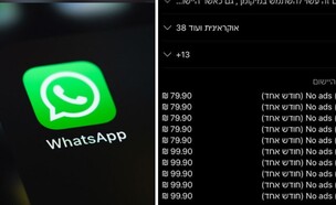 מחירי וואטסאפ פלוס (צילום: צילום מסך/shutterstock)