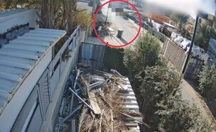 רצח את כלב היוקרה בגלל שעשה לו רעש