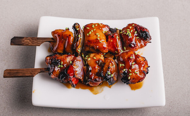 שיפודים ברוטב טריאקי (צילום: הדס לפידות)