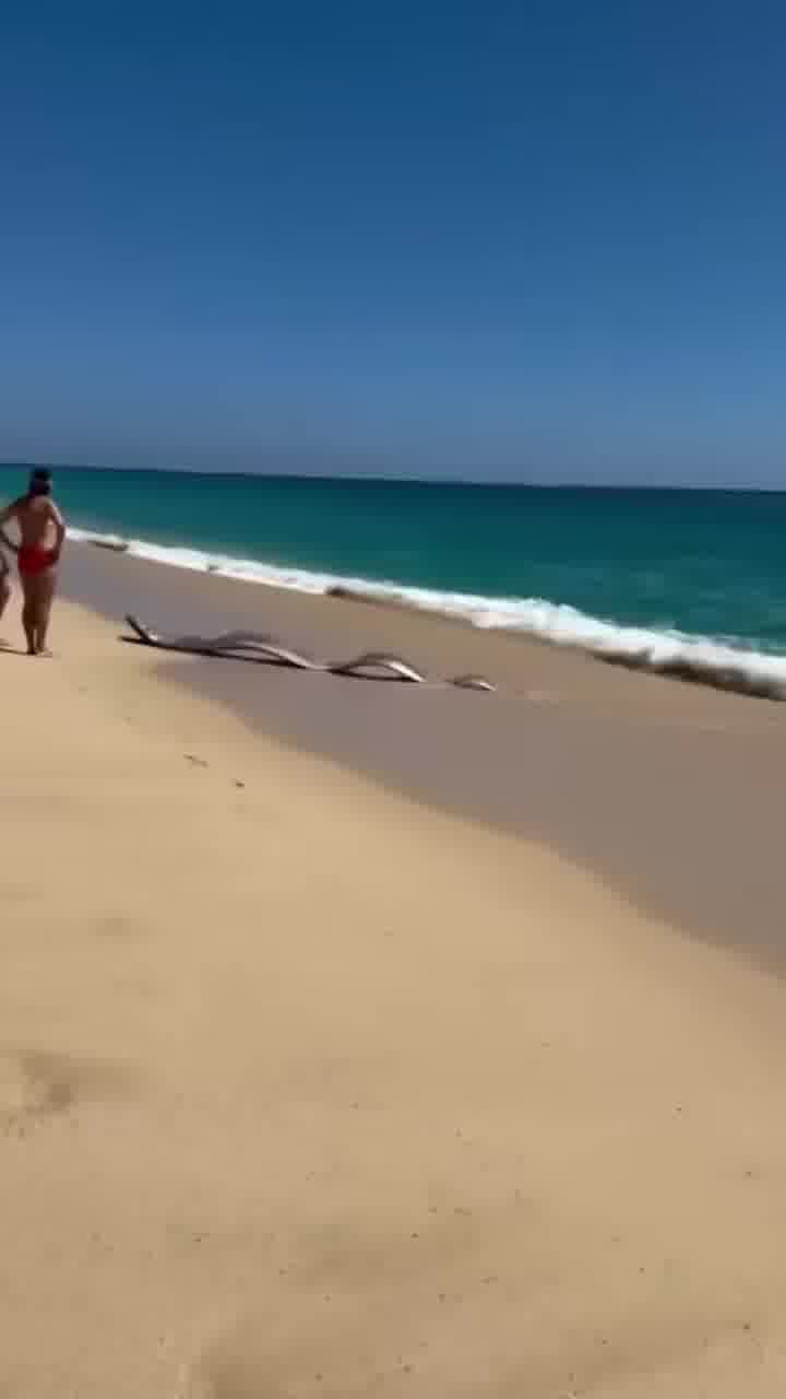 את סתומה?! מה את נוגעת בזה?
