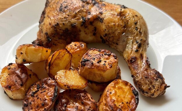 עוף באייר פרייר