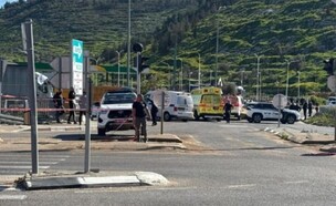 זירת האירוע בכביש 85