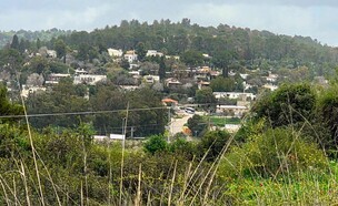 קיבוץ נתיב הל'ה - תצפית על הקיבוץ (צילום: אריאלה אפללו)