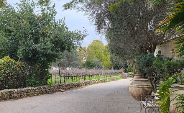 קיבוץ נתיב הל'ה