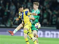 הכל ערוך ומוכן (אלן שיבר)