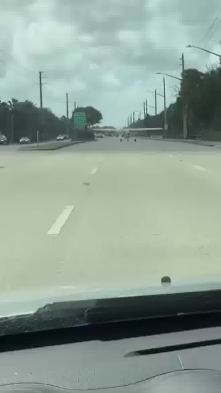 זה נכלל בקטגוריה של רכבי אספנות שמותר להם לקרטע בכביש רק בשבת בבוקר?