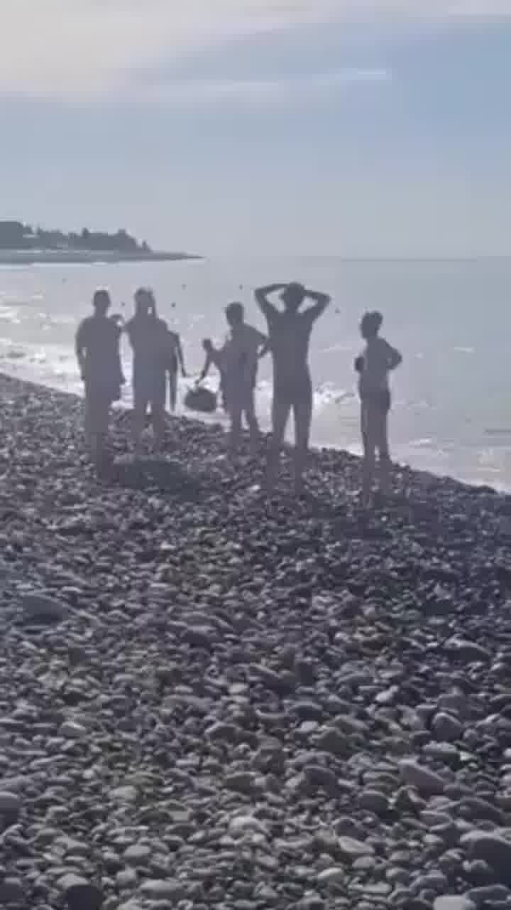 שניות לפני אסון: מוקש ימי נשטף אל החוף, וכך הגיבו הרוחצים