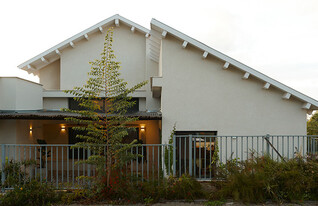 שרון ברקת (צילום: דור קדמי)