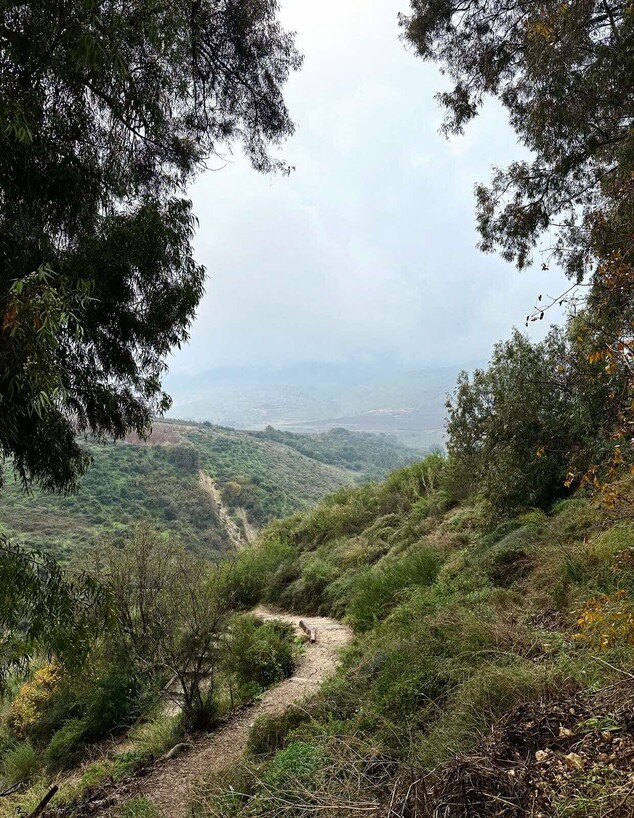 מסלול נחל ומפל עיון מסלול נחל ומפל עיון