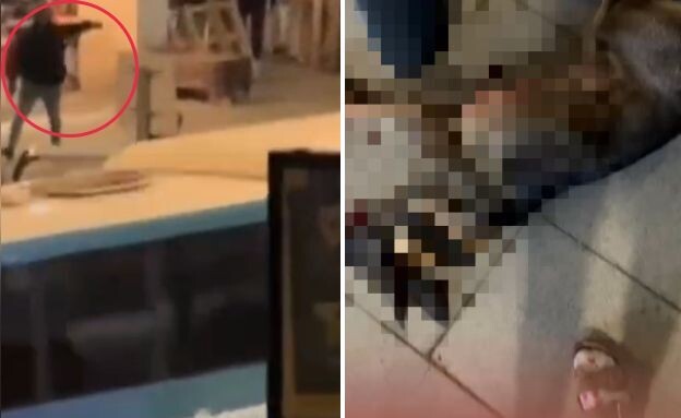 רצח כלב בחריש