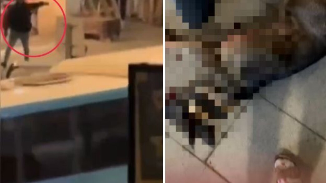 רצח כלב בחריש