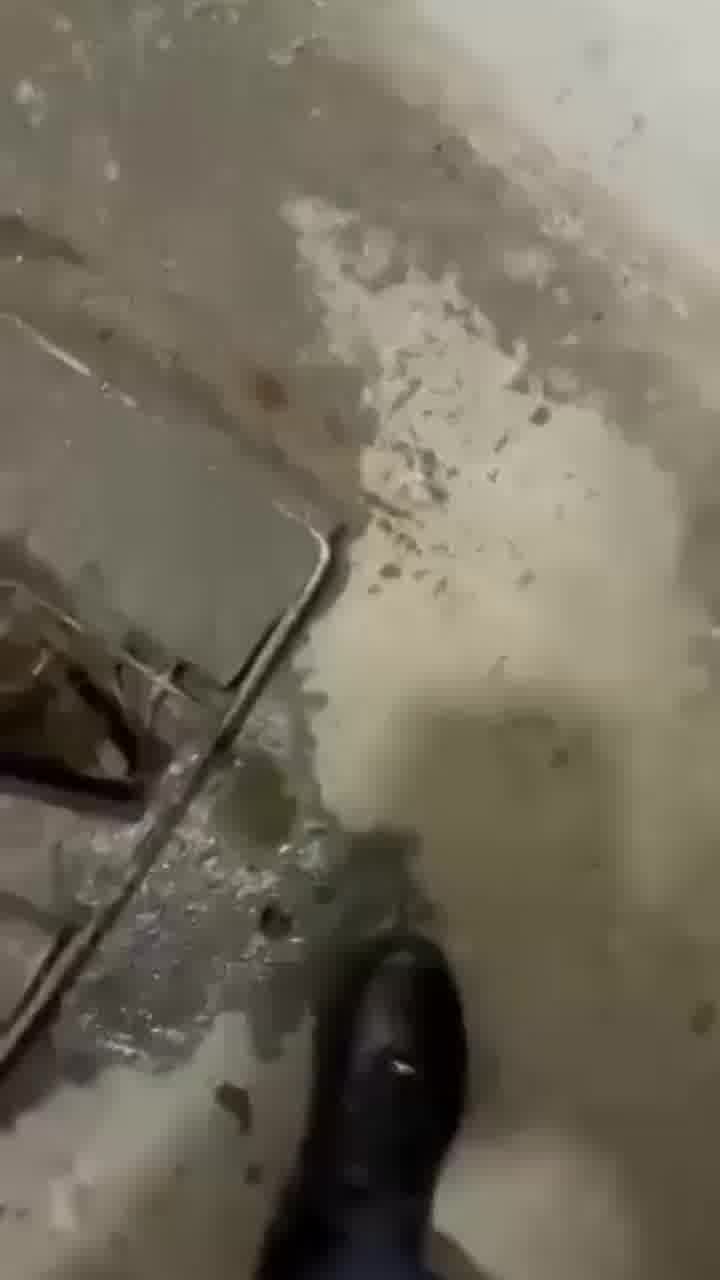 נפלה לתוך בור שירותים בקזחסטן, ונתקעה בפנים במשך יומיים