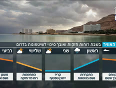 umezeg_vtr2_n20260313_v1 (צילום: חדשות)