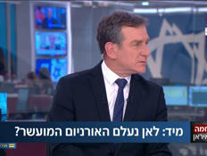 פרסום ראשון: התחממות בגבול סוריה-לבנון (צילום: חדשות)