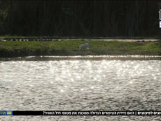 utzipor_vtr2_n20260313_v1 (צילום: חדשות)