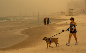 אובך כבד בתל אביב (צילום: פלאש 90)