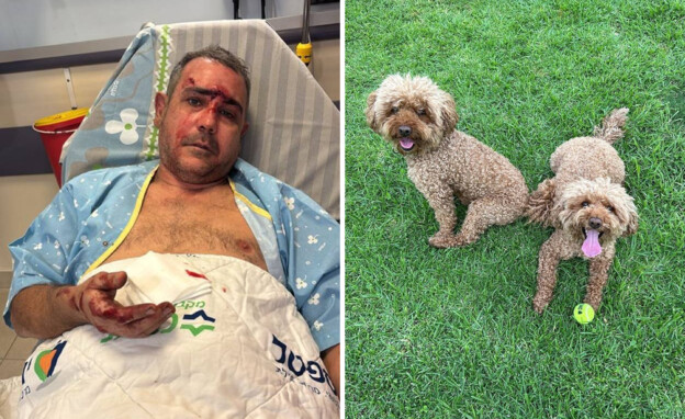 בן אביטל שנפצע באילת עם הכלבים שלו