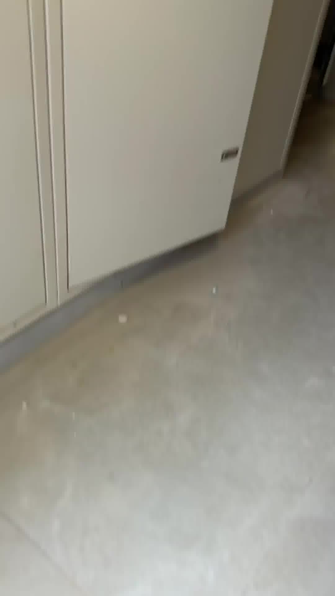 דלת הכניסה מפורקת והסלון הרוס: תיעוד מזירת הפגיעה באילת