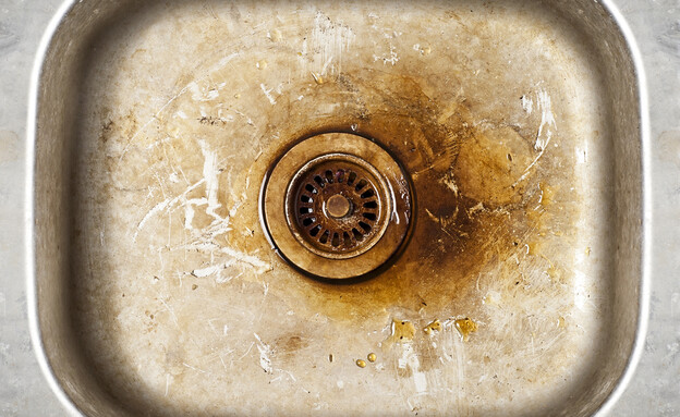 כיור מלוכלך (צילום: Nerijus Juras / Shutterstock.com)