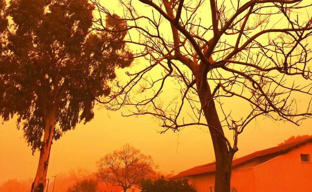 אובך בזיקים (צילום: רשתות חברתיות לפי סעיף 27 א')