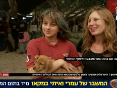 20dogs_vtr2_n20260315_v1 (צילום: חדשות)