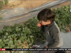 20onetwo_vtr2_n20260315_v1 (צילום: חדשות)