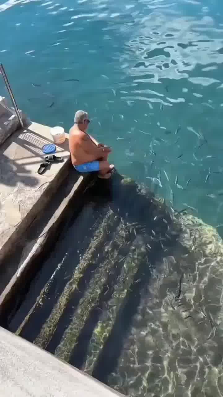 כשאתה מכיר חבר חדש בים