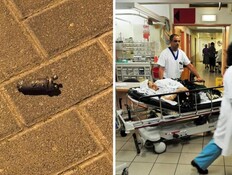 סכנת הפגיעות מרסיסים 