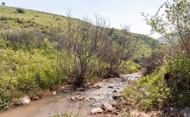 מסלול נחל תבור
