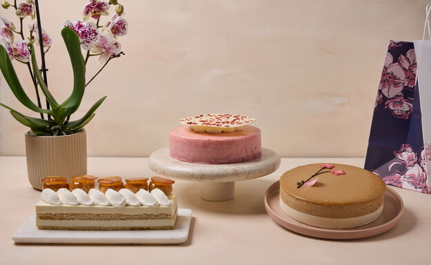  בוטיק סנטרל 2026 פסח (צילום: טל סיוון ציפורין)