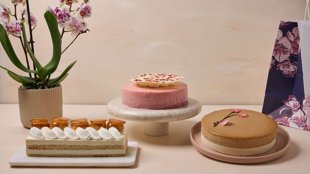 בוטיק סנטרל 2026 פסח בוטיק סנטרל 2026 פסח