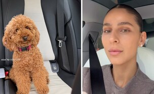 אן אברהמי והכלב (צילום: מתוך האינסטגרם של אן)