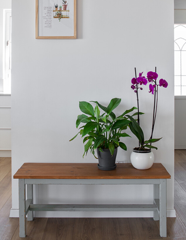 בית גוש עציון ג , עיצוב אביטל ושירה