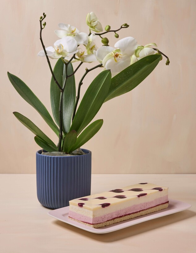 Copy(3) of  of בוטיק סנטרל 2026 פסח